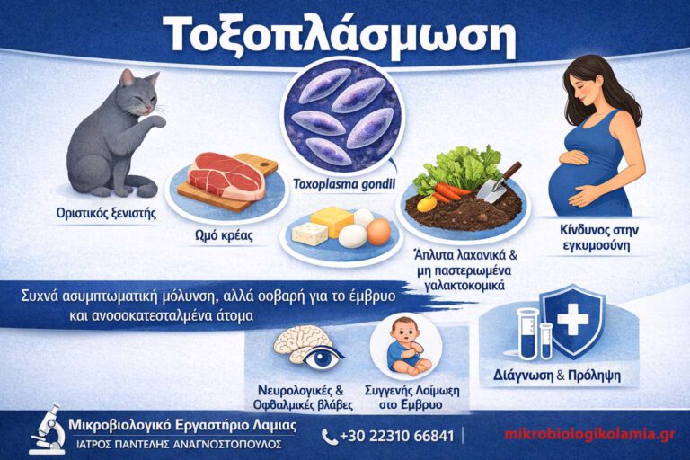 Τοξόπλασμα (Toxoplasma gondii): Συμπτώματα, Κίνδυνοι & Πρόληψη