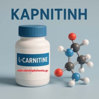 Καρνιτίνη