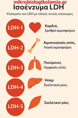 LDH-ισοένζυμα