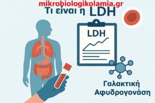 LDH-τι είναι