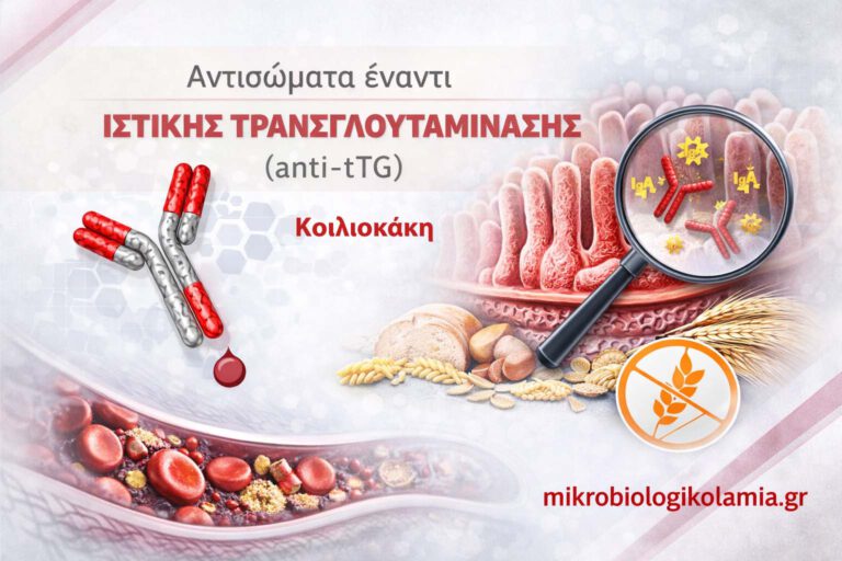 Αντισώματα έναντι Ιστικής Τρανσγλουταμινάσης (anti-tTG): Κοιλιοκάκη, Ερμηνεία & Εξέταση
