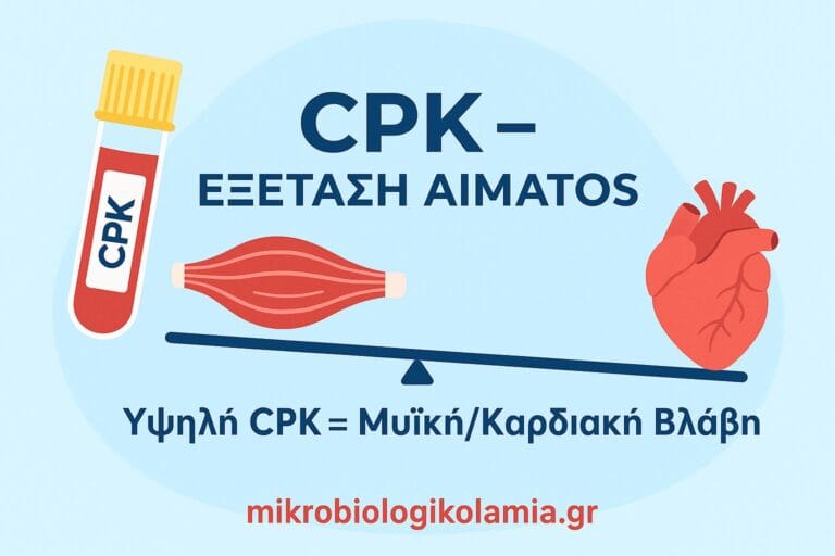 CPK (Κρεατινική Φωσφοκινάση): Τιμές, Υψηλή CPK & Εξέταση Αίματος | Οδηγός Ασθενών