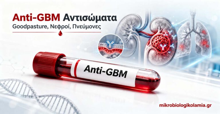 Anti-GBM αντισώματα – εξέταση αίματος για Goodpasture, νεφρική και πνευμονική προσβολή