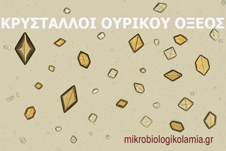 ΚΡΥΣΤΑΛΛΟΙ ΟΥΡΙΚΟΥ ΟΞΕΟΣ ΣΤΑ ΟΥΡΑ