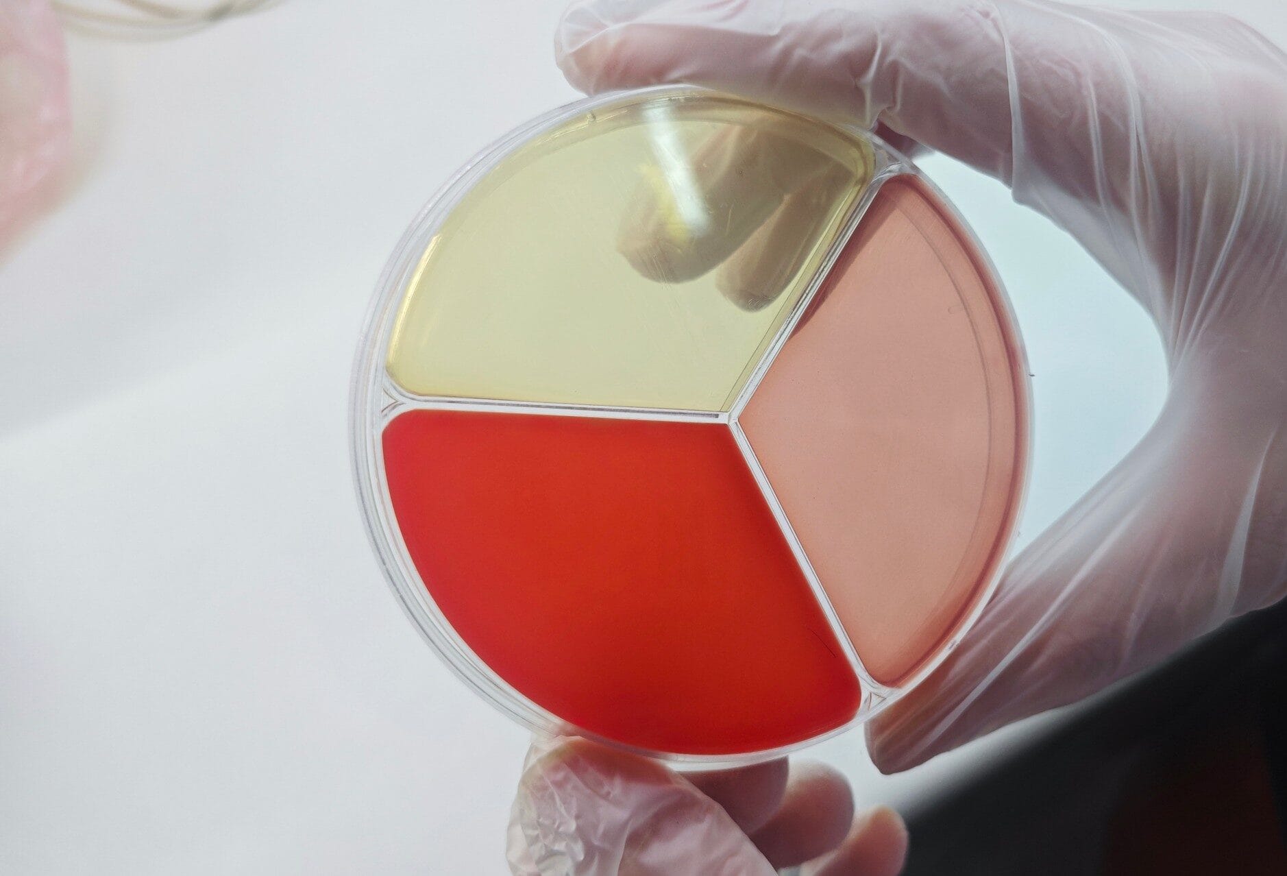 IMG 20250226 101842.jpg compressed e1740558195679