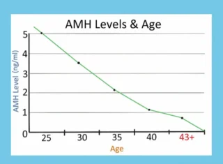 AMH levels