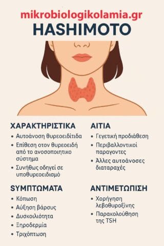 Hashimoto Θυρεοειδίτιδα : Συμπτώματα, Αντισώματα, Θεραπεία και Διατροφή 1 Hashimoto-πληροφορίες