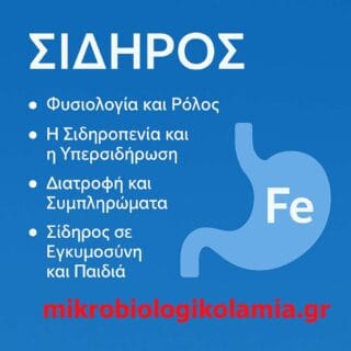 Σίδηρος – Ο ΑΠΑΡΑΙΤΗΤΟΣ ΜΙΚΡΟΘΡΕΠΤΙΚΟΣ ΠΑΡΑΓΟΝΤΑΣ ΓΙΑ ΤΗ ΖΩΗ 1 FE Σίδηρος