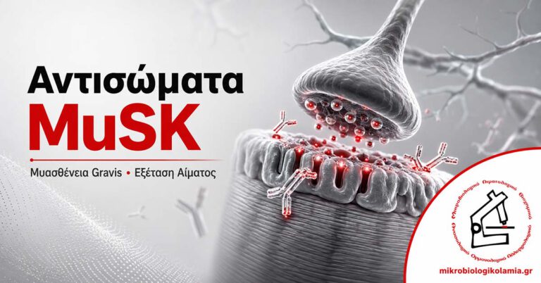 Αντισώματα MuSK anti-MuSK εξέταση αίματος για μυασθένεια gravis και νευρομυϊκή σύναψη