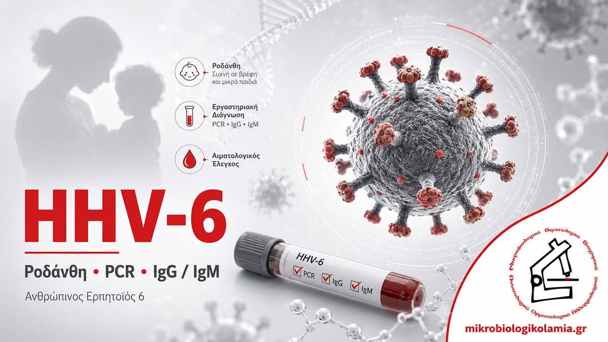 HHV-6: Τι Είναι, Ροδάνθη, PCR, IgG/IgM & Επανενεργοποίηση 1 HHV-6 Human Herpesvirus 6 με ροδάνθη, PCR, IgG και IgM σε εργαστηριακό έλεγχο