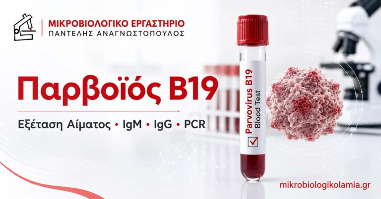 Παρβοϊός B19 Εξέταση Αίματος: IgM, IgG, PCR 5 Παρβοϊός B19 εξέταση αίματος με IgM, IgG και PCR σε ιατρικό εργαστήριο