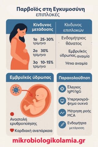 Παρβοϊός Β19 - Εγκυμοσύνη επιπλοκές