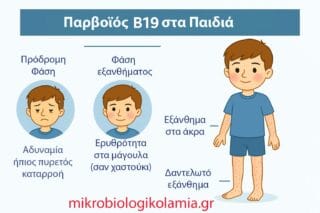 Παρβοϊός Β19 - Παιδιά