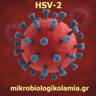 HSV-2-ιός
