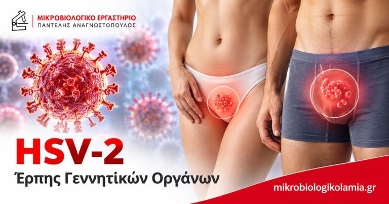 HSV-2 – Έρπης γεννητικών οργάνων σε άνδρα και γυναίκα, με απεικόνιση του ιού και της ανατομικής εντόπισης της λοίμωξης.