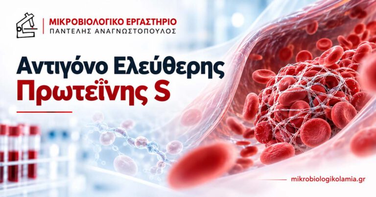 Ελεύθερη Πρωτεΐνη S: Τιμές, Θρομβοφιλία & Ερμηνεία 1 Αντιγόνο Ελεύθερης Πρωτεΐνης S – Εξέταση αίματος για θρομβοφιλία, με απεικόνιση θρόμβου και ερυθρών αιμοσφαιρίων.