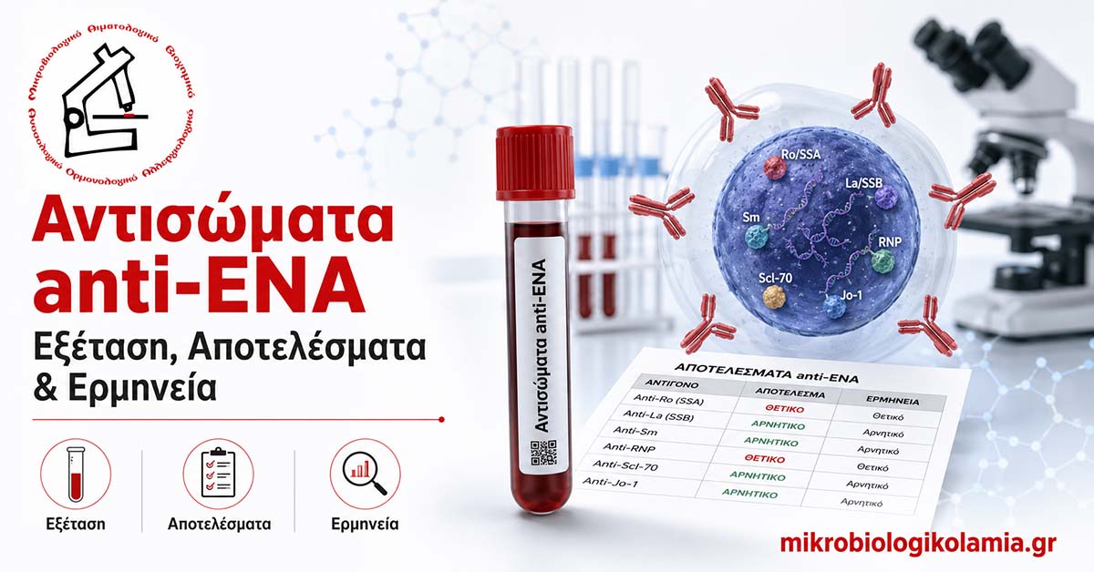 Αντισώματα anti-ENA: Εξέταση, Αποτελέσματα & Ερμηνεία 1 Αντισώματα anti-ENA με σωληνάριο αίματος, πυρηνικό κύτταρο και αυτοαντισώματα – εξέταση, αποτελέσματα και ερμηνεία
