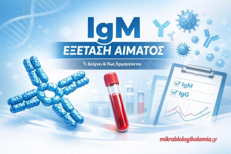 IgM (Ανοσοσφαιρίνη Μ) – Τι Δείχνει η Εξέταση & Πώς Ερμηνεύεται