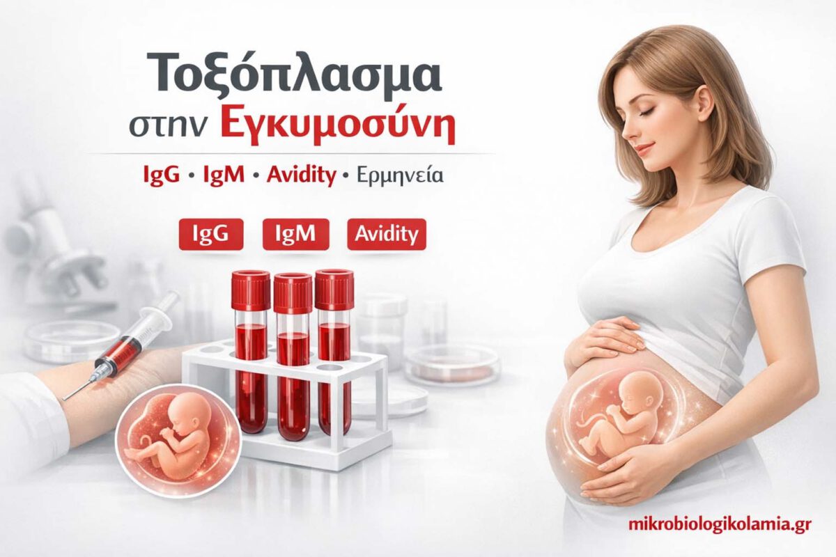 toxoplasma-egkymosyni-igg-igm-avidity-mikrobiologikolamia-1200x628-1-1200x800.jpg