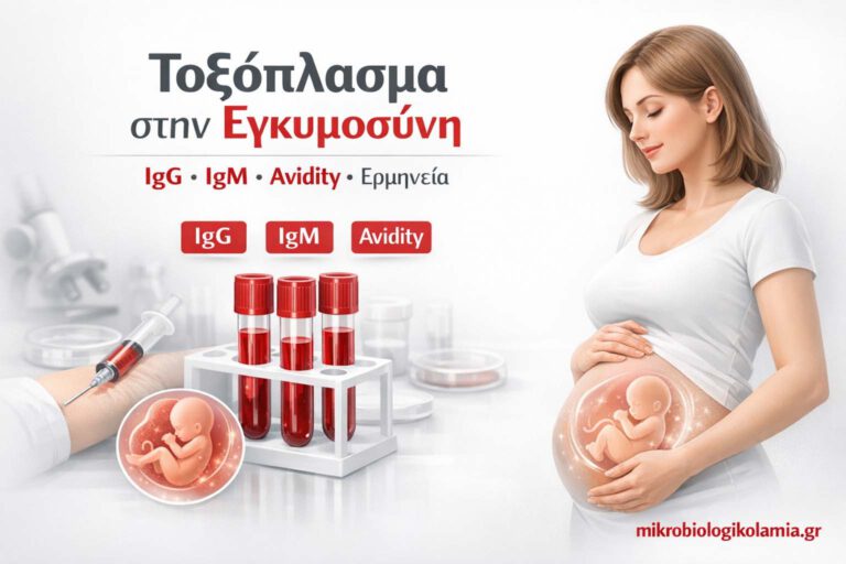 Τοξόπλασμα στην Εγκυμοσύνη: Τι Σημαίνουν IgG, IgM, Avidity & PCR