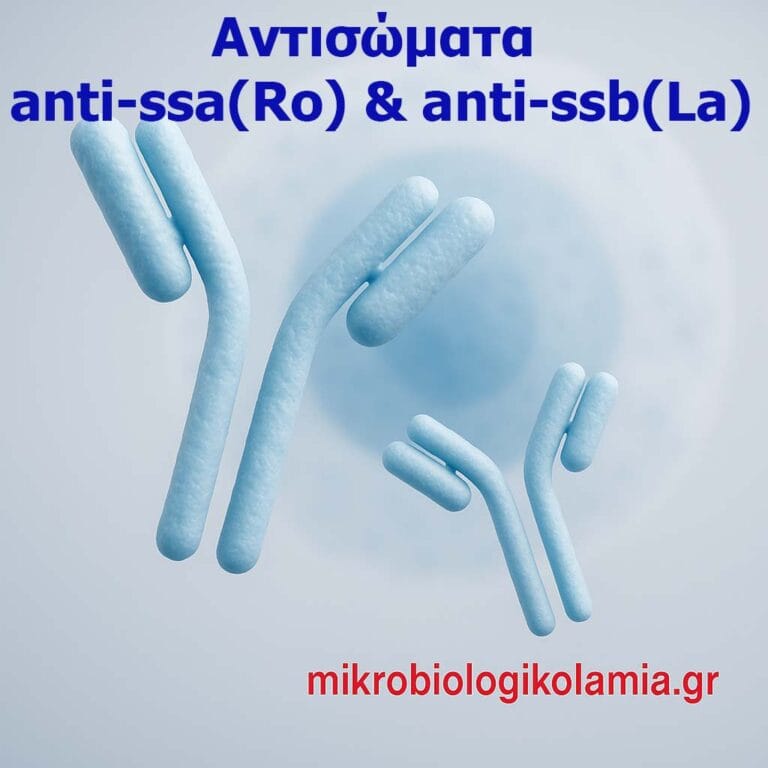 Anti-SSA (Ro) & Anti-SSB (La): Τι Δείχνουν & Πότε Ζητούνται | Μικροβιολογικό Λαμία