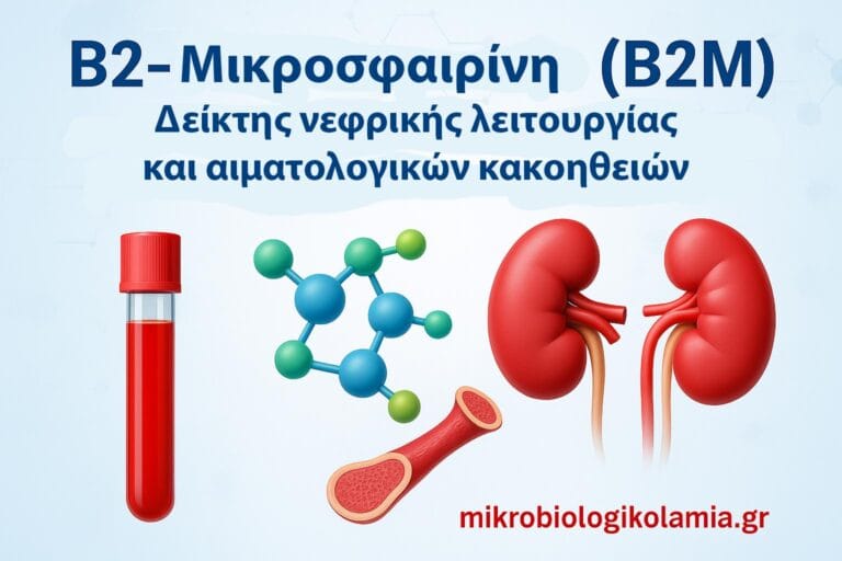 Β2-Μικροσφαιρίνη (B2M): Τιμές, Υψηλή B2M & Νεφρική Λειτουργία | Οδηγός Ασθενών