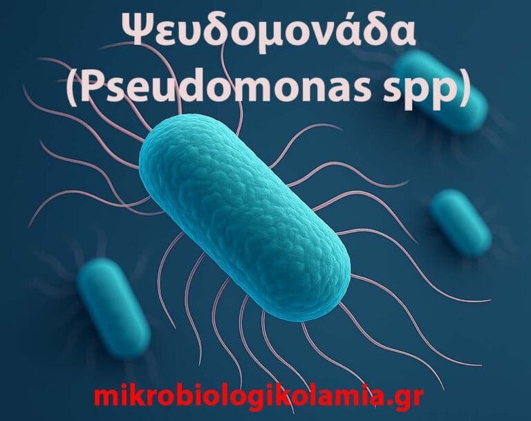Ψευδομονάδα στα Ούρα – Συμπτώματα, Θεραπεία & Αντιβιόγραμμα
