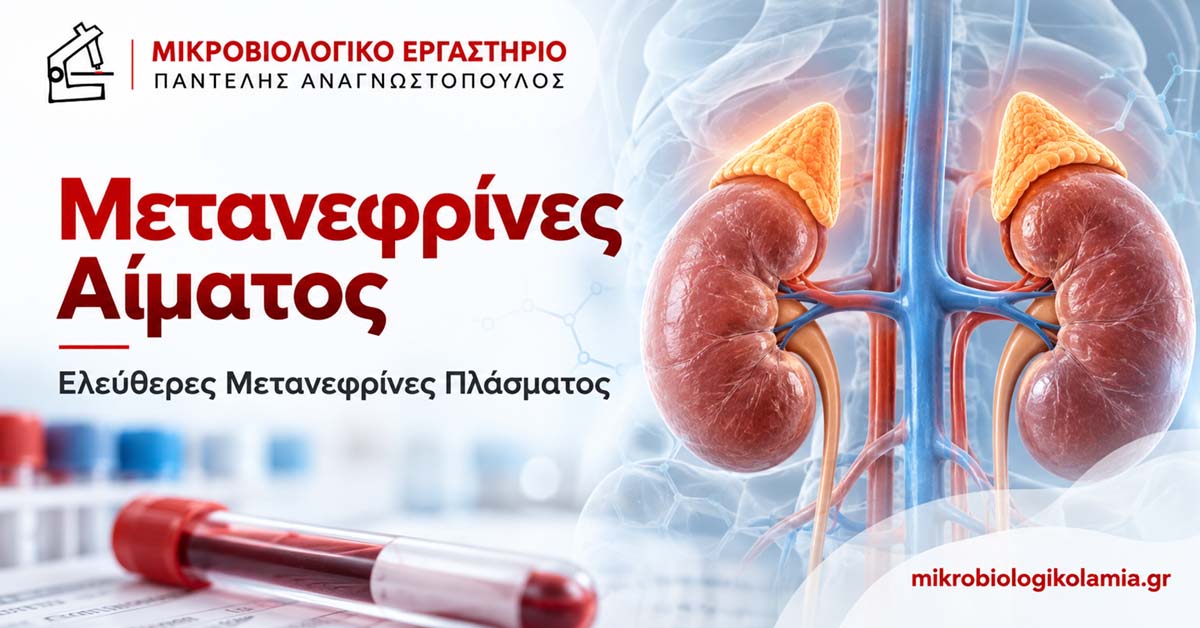 Μετανεφρίνες Αίματος: Τιμές, Προετοιμασία & Ερμηνεία
