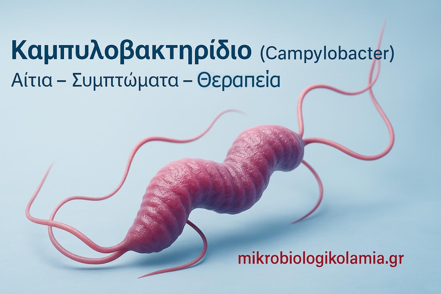 Καμπυλοβακτηρίδιο-Campylobacter.jpg