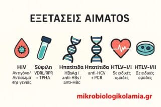 Σεξουαλικώς Μεταδιδόμενα Νοσήματα (ΣΜΝ) – Φιλικός Οδηγός Εξετάσεων, Συμπτωμάτων & Πρόληψης 2 ΣΜΝ εξετάσεις αίματος