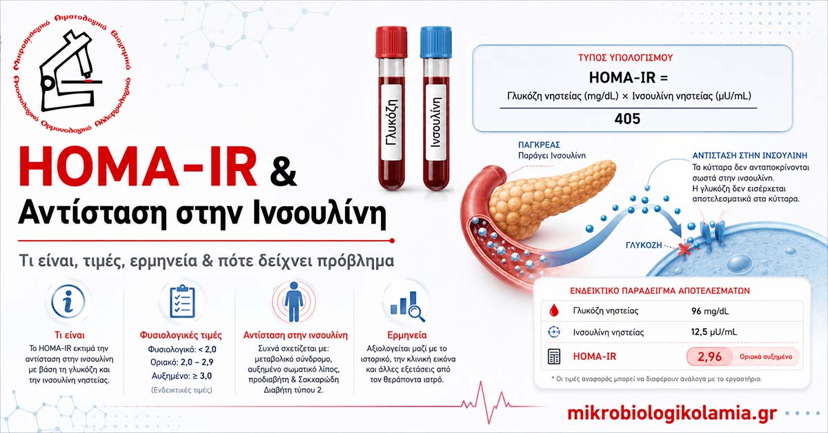 HOMA-IR: Εξέταση, Φυσιολογικές Τιμές & Αντίσταση στην Ινσουλίνη