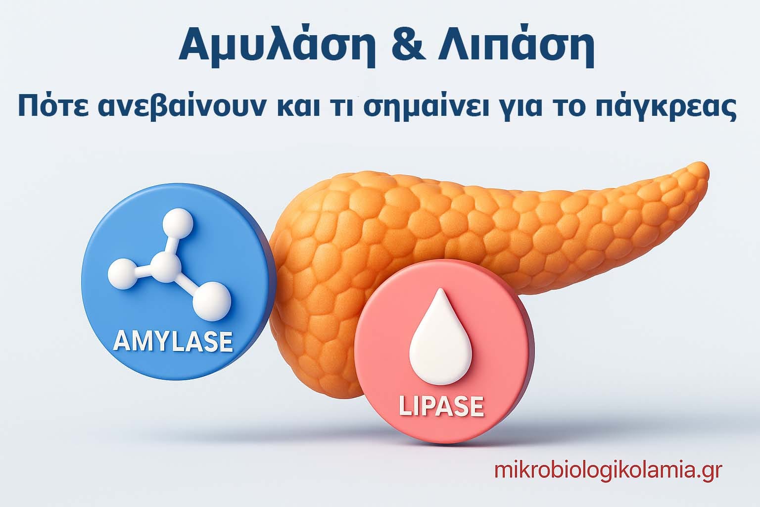 Αμυλάση-Λιπάση.jpg