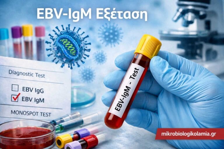 EBV-IgM: Εξέταση Αίματος για Οξεία Λοίμωξη από Epstein-Barr