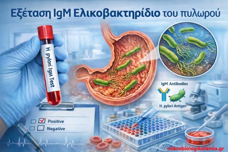 H. pylori IgM: Εξέταση Αίματος – Τι Δείχνει & Πώς Ερμηνεύεται