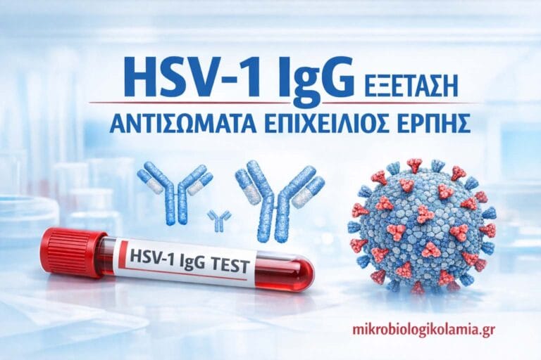 HSV-1 IgG: Τι δείχνει η εξέταση αίματος για τον επιχείλιο έρπη