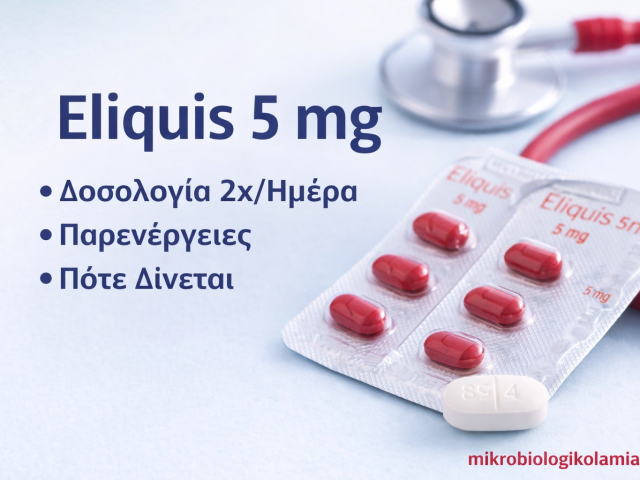 ChatGPT Image Feb 17 2026 08 00 15 AM