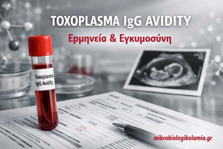 Toxoplasma IgG Avidity: Τι Δείχνει, Πότε Ζητείται & Ερμηνεία στην Εγκυμοσύνη