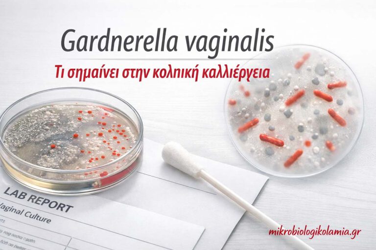 Gardnerella vaginalis στην κολπική καλλιέργεια με στυλεό λήψης δείγματος, τρυβλίο καλλιέργειας και εργαστηριακή αναφορά