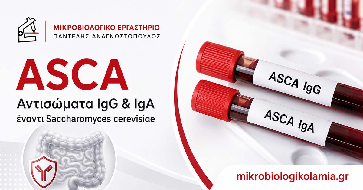 ASCA IgG και IgA: Τι Δείχνουν για Crohn, Κολίτιδα και Έντερο
