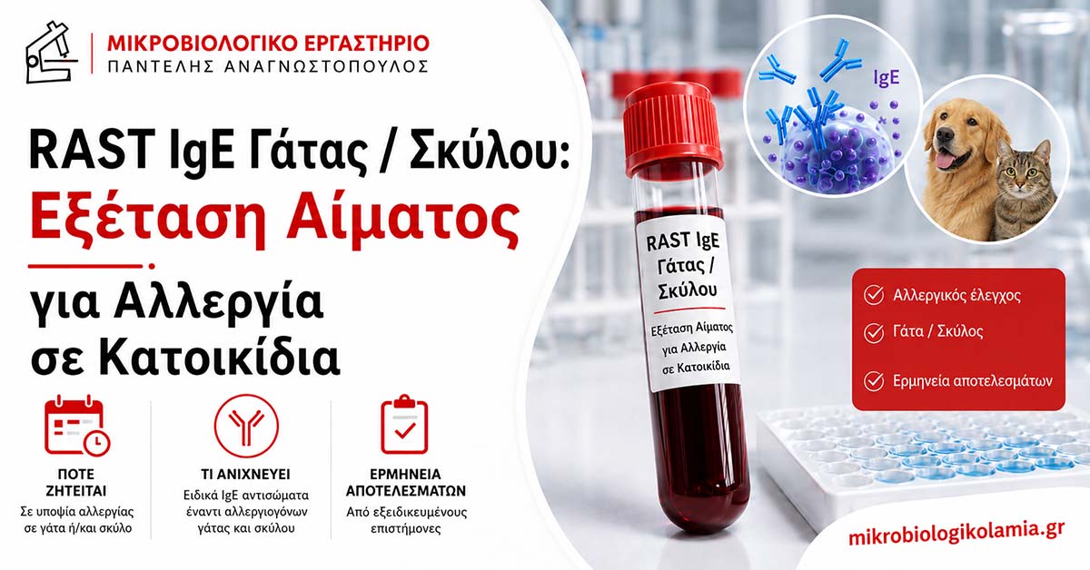 RAST IgE Γάτας / Σκύλου: Εξέταση Αίματος για Αλλεργία