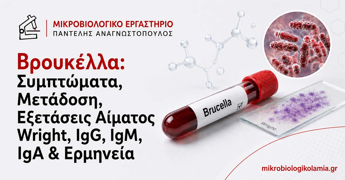 Βρουκέλλα: Συμπτώματα, Μετάδοση, Wright, IgG, IgM, IgA & Ερμηνεία 1 Βρουκέλλα με απεικόνιση Brucella, σωληνάριο αίματος και εργαστηριακό πλακίδιο για συμπτώματα, μετάδοση, εξετάσεις Wright, IgG, IgM, IgA και ερμηνεία.