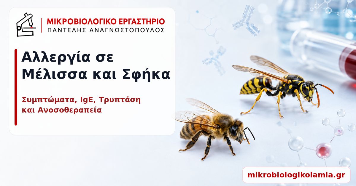 Αλλεργία σε Μέλισσα και Σφήκα: Συμπτώματα και Εξετάσεις 1 Αλλεργία σε μέλισσα και σφήκα – συμπτώματα, IgE, τρυπτάση και ανοσοθεραπεία