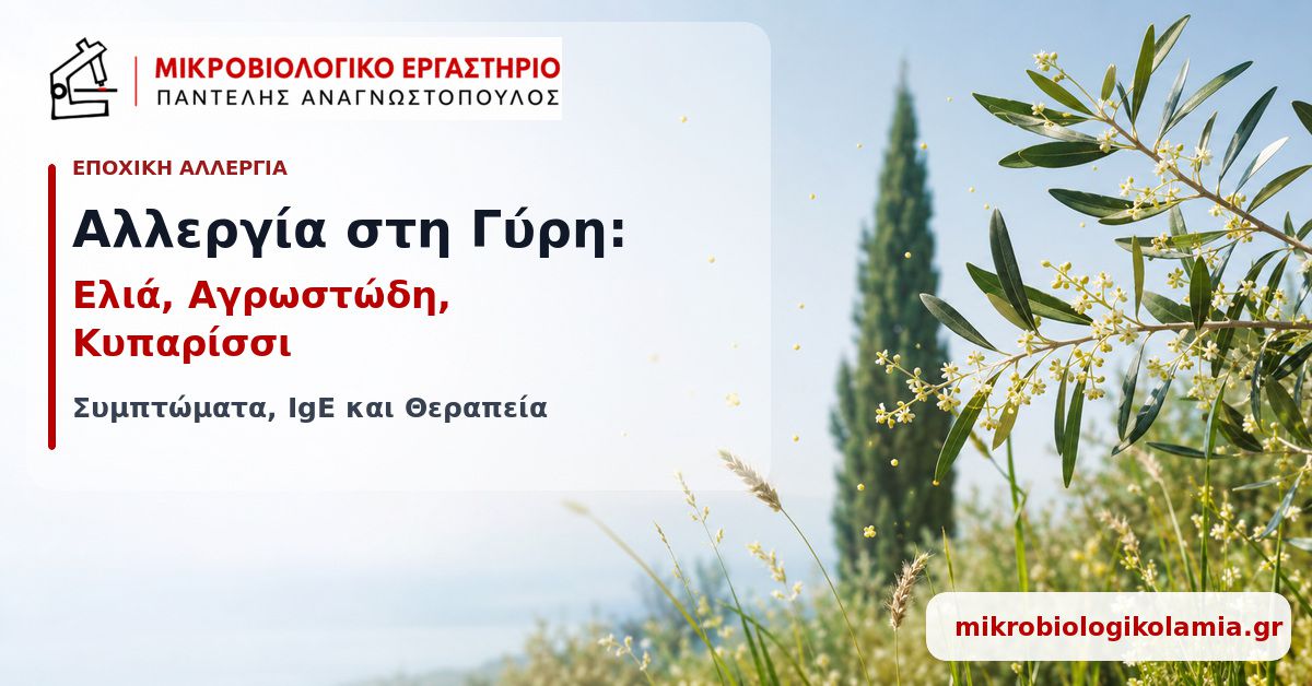 Αλλεργία στη Γύρη: Συμπτώματα, IgE και Θεραπεία 1 Αλλεργία στη γύρη από ελιά, αγρωστώδη και κυπαρίσσι