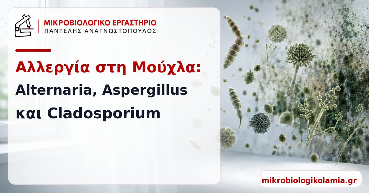 Αλλεργία στη Μούχλα: Συμπτώματα, IgE και Θεραπεία