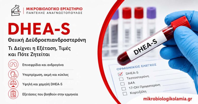 DHEA-S Θειική Δεϋδροεπιανδροστερόνη: Τι Δείχνει η Εξέταση 2 DHEA-S Θειική Δεϋδροεπιανδροστερόνη εξέταση αίματος για επινεφρίδια και ανδρογόνα