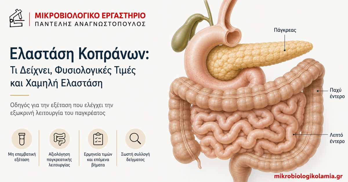 Ελαστάση Κοπράνων: Τιμές, Χαμηλή Τιμή και Πάγκρεας 1 Ελαστάση κοπράνων – ιατρική απεικόνιση παγκρέατος και εντέρου με τίτλο για τις φυσιολογικές τιμές και τη χαμηλή ελαστάση