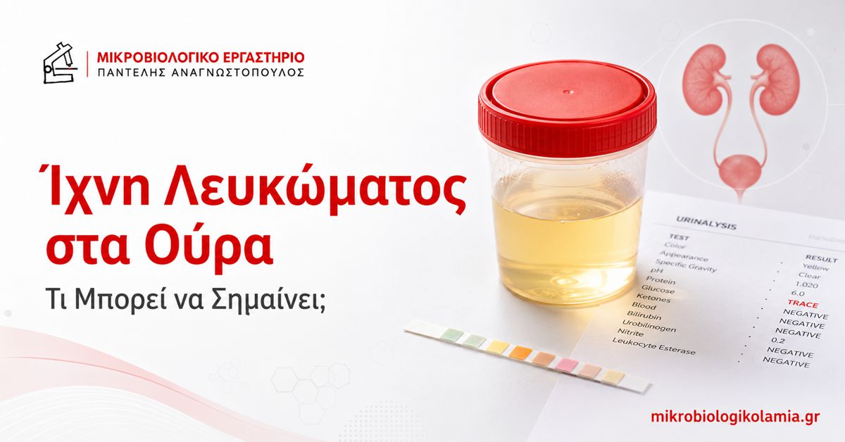 Ίχνη Λευκώματος στα Ούρα: Τι Σημαίνουν και Πότε Ανησυχούμε