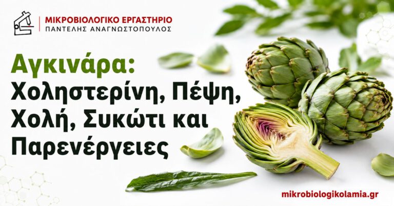 Αγκινάρα για Χοληστερίνη και Πέψη: Τι Ισχύει 5 Αγκινάρα για χοληστερίνη, πέψη, χολή και συκώτι