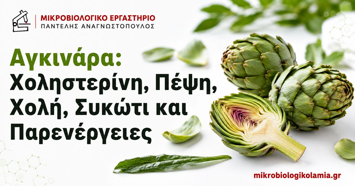 Αγκινάρα για Χοληστερίνη και Πέψη: Τι Ισχύει 1 Αγκινάρα για χοληστερίνη, πέψη, χολή και συκώτι