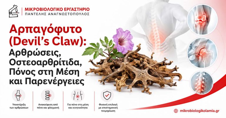 Αρπαγόφυτο Devil’s Claw για αρθρώσεις, οστεοαρθρίτιδα και πόνο στη μέση